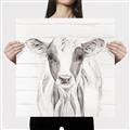 Picture of Frontal Cow Portrait _GroupedProduct_Square_Canvas_