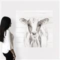 Picture of Frontal Cow Portrait _GroupedProduct_Square_Canvas_