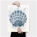 Picture of Blue Seashell _GroupedProduct_Rectangle_Portrait_Canvas_