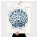 Picture of Blue Seashell _GroupedProduct_Rectangle_Portrait_Canvas_