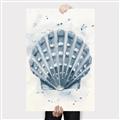 Picture of Blue Seashell _GroupedProduct_Rectangle_Portrait_Canvas_