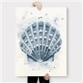 Picture of Blue Seashell _GroupedProduct_Rectangle_Portrait_Canvas_