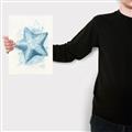 Picture of Teal Starfish _GroupedProduct_Rectangle_Portrait_Canvas_