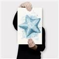 Picture of Teal Starfish _GroupedProduct_Rectangle_Portrait_Canvas_
