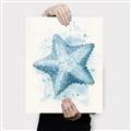 Picture of Teal Starfish _GroupedProduct_Rectangle_Portrait_Canvas_