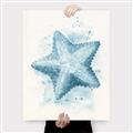 Picture of Teal Starfish _GroupedProduct_Rectangle_Portrait_Canvas_