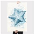 Picture of Teal Starfish _GroupedProduct_Rectangle_Portrait_Canvas_