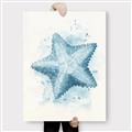 Picture of Teal Starfish _GroupedProduct_Rectangle_Portrait_Canvas_