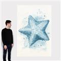 Picture of Teal Starfish _GroupedProduct_Rectangle_Portrait_Canvas_