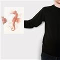 Picture of Coral Seahorse _GroupedProduct_Rectangle_Portrait_Canvas_