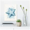 Picture of Teal Starfish _GroupedProduct_Rectangle_Portrait_Canvas_