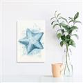 Picture of Teal Starfish _GroupedProduct_Rectangle_Portrait_Canvas_