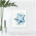 Picture of Teal Starfish _GroupedProduct_Rectangle_Portrait_Canvas_