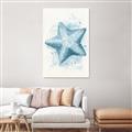 Picture of Teal Starfish _GroupedProduct_Rectangle_Portrait_Canvas_