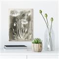 Picture of Brown & White Flower II _GroupedProduct_Rectangle_Portrait_Canvas_