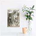 Picture of Brown & White Flower II _GroupedProduct_Rectangle_Portrait_Canvas_