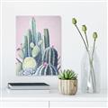 Picture of Pink Cactus _GroupedProduct_Rectangle_Portrait_Canvas_