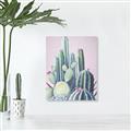 Picture of Pink Cactus _GroupedProduct_Rectangle_Portrait_Canvas_