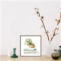 Picture of Pot On The Books I _GroupedProduct_Square_Canvas_Framed_