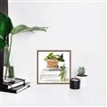 Picture of Flower Pot On Books _GroupedProduct_Square_Canvas_Framed_
