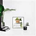 Picture of Flower Pot On Books _GroupedProduct_Square_Canvas_Framed_