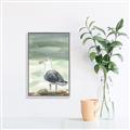 Picture of Sea Gull _GroupedProduct_Rectangle_Portrait_Canvas_Framed_