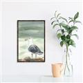 Picture of Sea Gull _GroupedProduct_Rectangle_Portrait_Canvas_Framed_