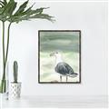 Picture of Sea Gull _GroupedProduct_Rectangle_Portrait_Canvas_Framed_