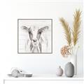 Picture of Frontal Cow Portrait _GroupedProduct_Square_Canvas_Framed_