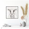 Picture of Frontal Cow Portrait _GroupedProduct_Square_Canvas_Framed_