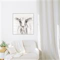 Picture of Frontal Cow Portrait _GroupedProduct_Square_Canvas_Framed_