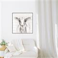 Picture of Frontal Cow Portrait _GroupedProduct_Square_Canvas_Framed_