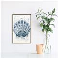 Picture of Blue Seashell _GroupedProduct_Rectangle_Portrait_Canvas_Framed_
