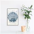 Picture of Blue Seashell _GroupedProduct_Rectangle_Portrait_Canvas_Framed_