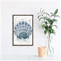 Picture of Blue Seashell _GroupedProduct_Rectangle_Portrait_Canvas_Framed_