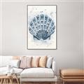 Picture of Blue Seashell _GroupedProduct_Rectangle_Portrait_Canvas_Framed_