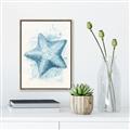 Picture of Teal Starfish _GroupedProduct_Rectangle_Portrait_Canvas_Framed_