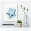 Picture of Teal Starfish _GroupedProduct_Rectangle_Portrait_Canvas_Framed_