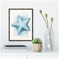 Picture of Teal Starfish _GroupedProduct_Rectangle_Portrait_Canvas_Framed_