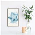 Picture of Teal Starfish _GroupedProduct_Rectangle_Portrait_Canvas_Framed_
