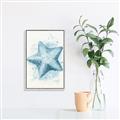 Picture of Teal Starfish _GroupedProduct_Rectangle_Portrait_Canvas_Framed_