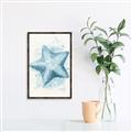 Picture of Teal Starfish _GroupedProduct_Rectangle_Portrait_Canvas_Framed_