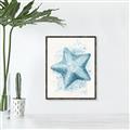 Picture of Teal Starfish _GroupedProduct_Rectangle_Portrait_Canvas_Framed_