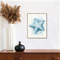 Picture of Teal Starfish _GroupedProduct_Rectangle_Portrait_Canvas_Framed_