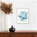 Picture of Teal Starfish _GroupedProduct_Rectangle_Portrait_Canvas_Framed_