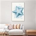 Picture of Teal Starfish _GroupedProduct_Rectangle_Portrait_Canvas_Framed_