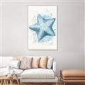 Picture of Teal Starfish _GroupedProduct_Rectangle_Portrait_Canvas_Framed_