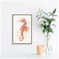 Picture of Coral Seahorse _GroupedProduct_Rectangle_Portrait_Canvas_Framed_