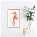 Picture of Coral Seahorse _GroupedProduct_Rectangle_Portrait_Canvas_Framed_