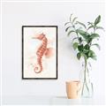 Picture of Coral Seahorse _GroupedProduct_Rectangle_Portrait_Canvas_Framed_